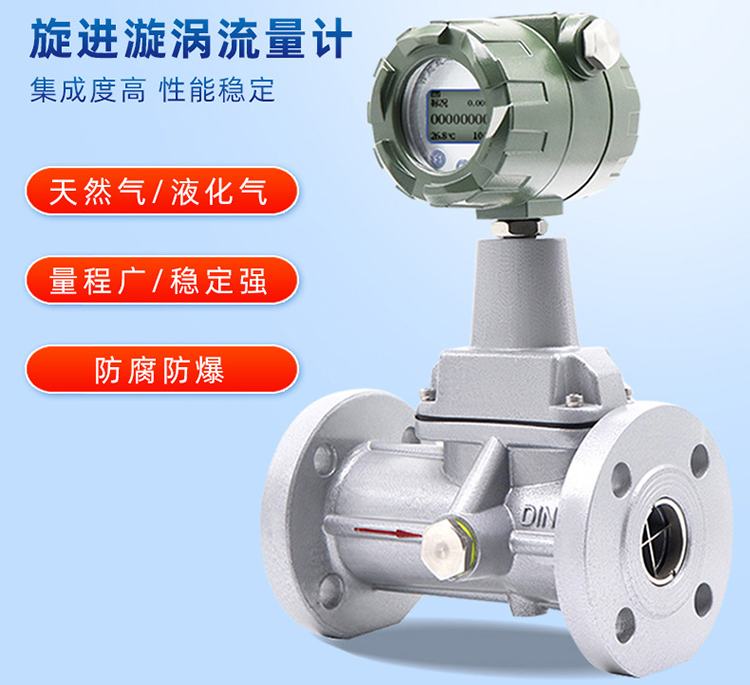 氧氣旋進旋渦流量計產品圖