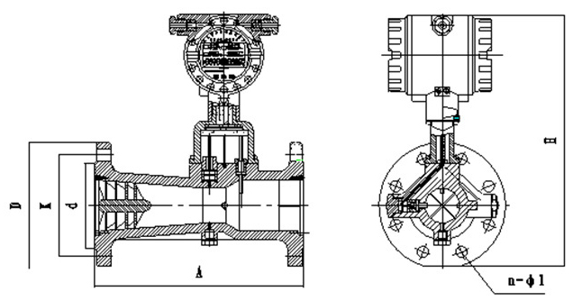 氧氣旋進旋渦流量計外形圖