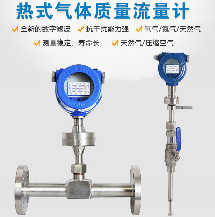 DN65熱式氣體質(zhì)量流量計產(chǎn)品圖