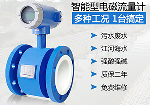 硝酸計(jì)量表,管道式防腐型電磁流量計(jì)