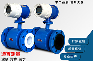 藥水流量計(jì),衛(wèi)生型制藥純化水蒸餾水計(jì)量表