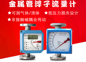 耐腐蝕轉(zhuǎn)子流量計